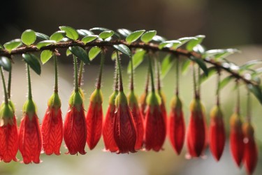 惠州惠东2私人快速借钱网，轻松解决资金难题