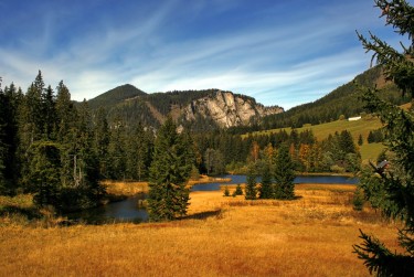 惠州惠东2民间私贷攻略：揭秘低成本借贷的秘密