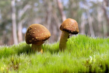 惠州惠东2私人老板放款：轻松融资的秘密通道